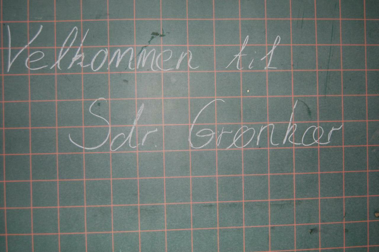 Sdr Gronkaer Feriehus - Holiday House Bækmarksbro Eksteriør bilde
